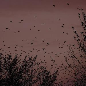 宝贝你真紧快夹断了的漫画
